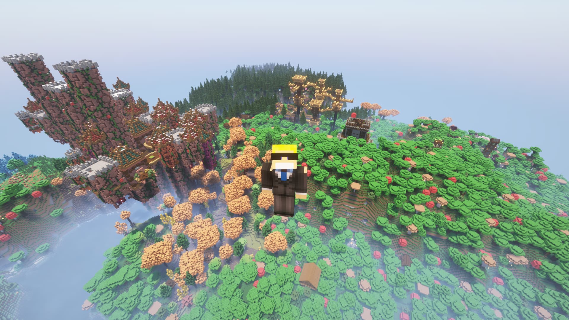 Zoomed Image